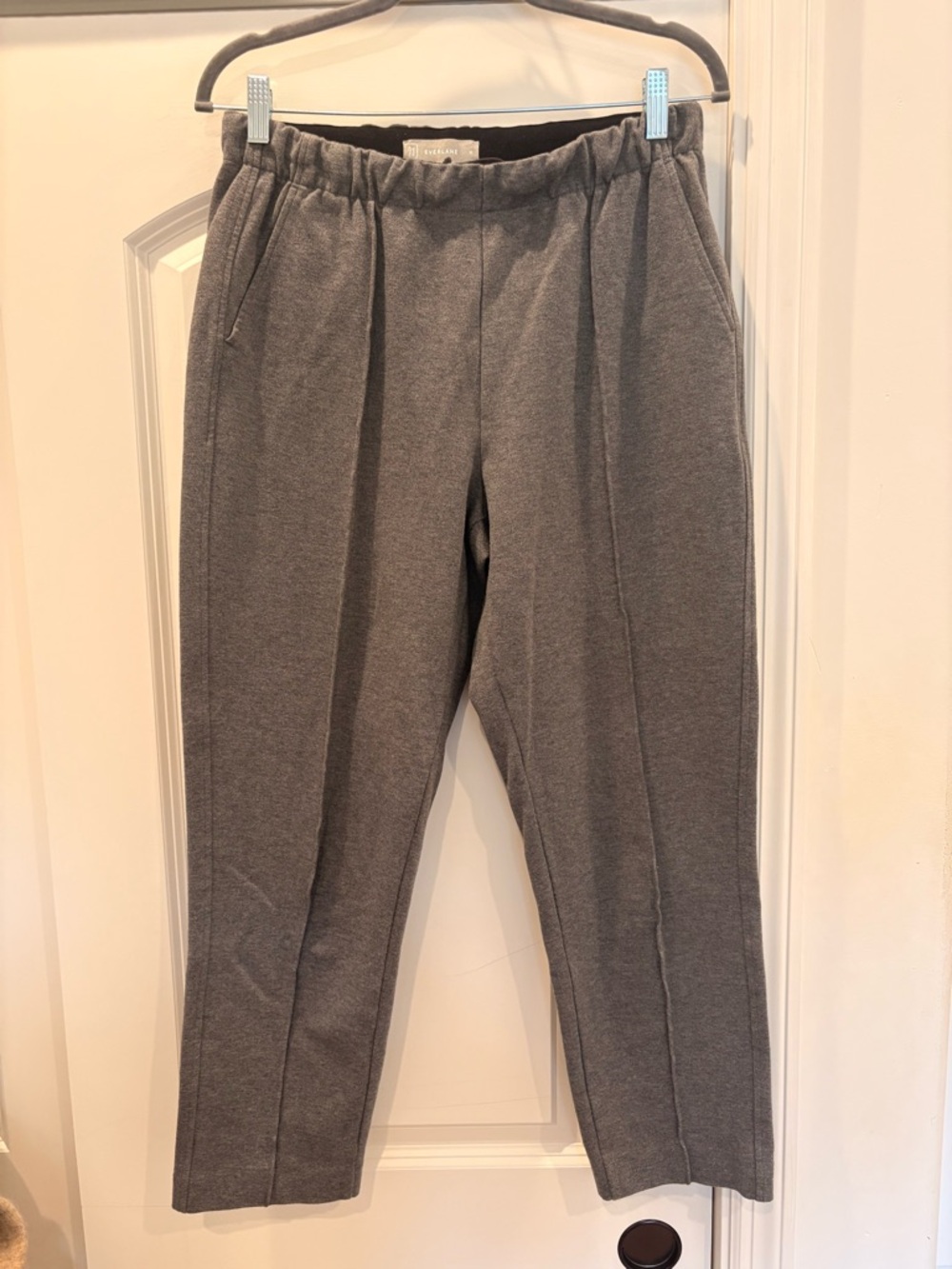 Everlane Pleated Stretchy Trouser Pants
